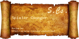 Spieler Csongor névjegykártya